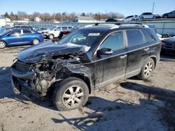 Salvage cars for sale at Pennsburg, PA auction: 2011 KIA Sorento Base