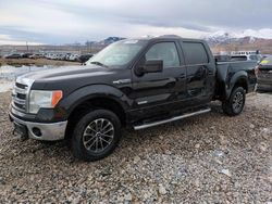 Salvage cars for sale at Magna, UT auction: 2013 Ford F150 Supercrew