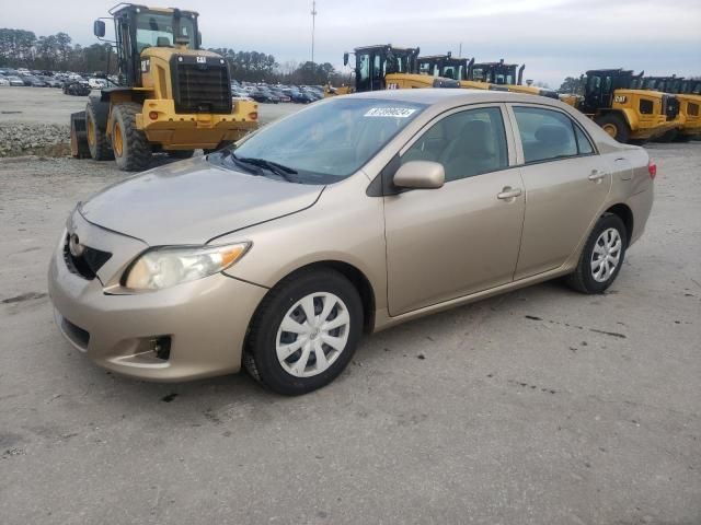 2010 Toyota Corolla Base