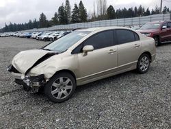 Salvage cars for sale from Copart Graham, WA: 2007 Honda Civic LX