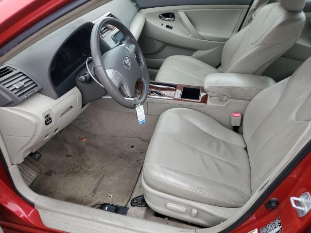 2009 Toyota Camry Hybrid