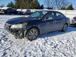 Salvage cars for sale at Finksburg, MD auction: 2012 Honda Accord EXL