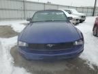 2005 Ford Mustang