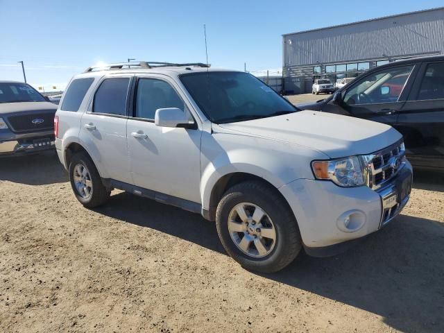 2012 Ford Escape Limited