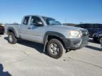 2013 Toyota Tacoma