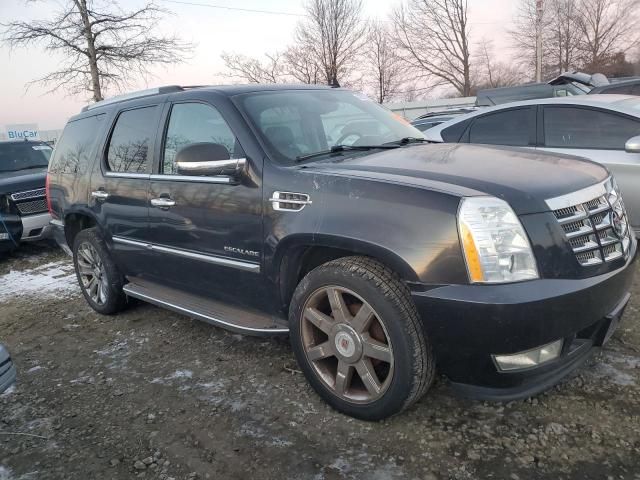 2011 Cadillac Escalade Luxury