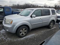 Honda Pilot exl Vehiculos salvage en venta: 2009 Honda Pilot EXL