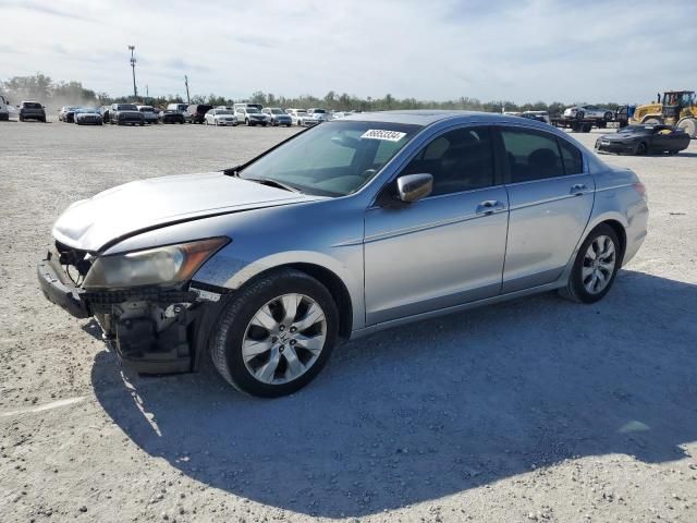 2008 Honda Accord EXL