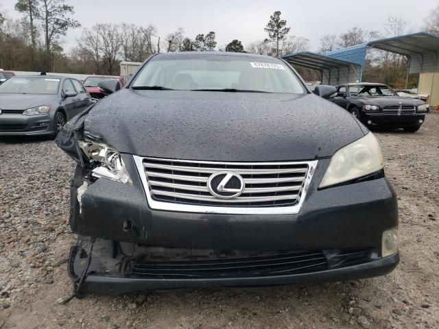 2010 Lexus ES 350