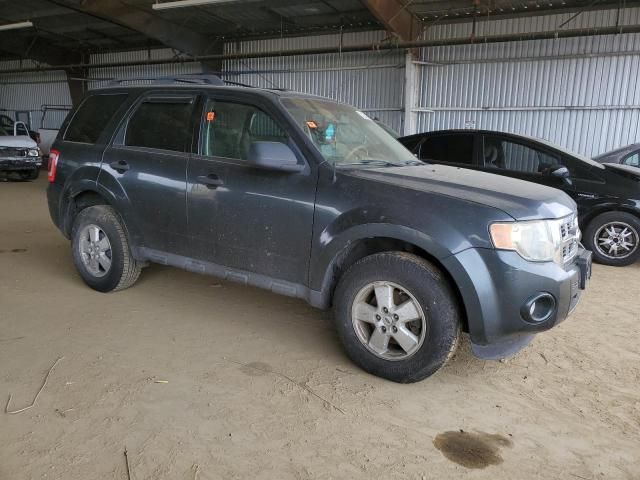 2009 Ford Escape XLT