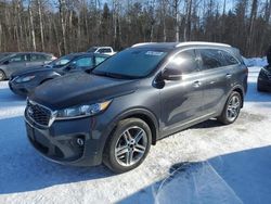 Salvage cars for sale at Cookstown, ON auction: 2019 KIA Sorento EX