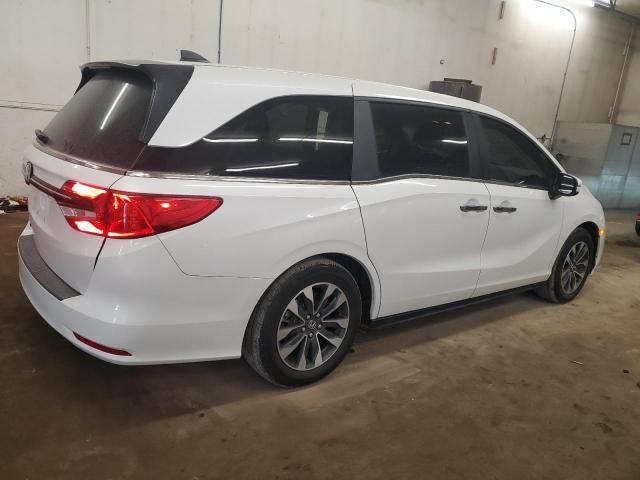 2024 Honda Odyssey EXL