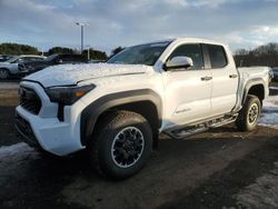 Salvage cars for sale at East Granby, CT auction: 2024 Toyota Tacoma Double Cab