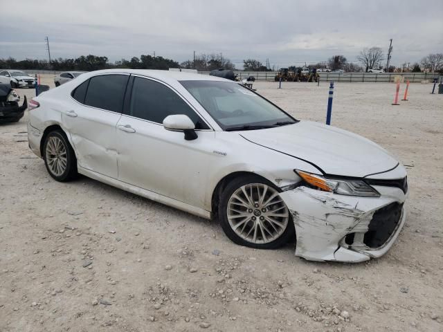 2019 Toyota Camry Hybrid