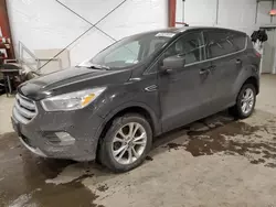 Salvage cars for sale at Center Rutland, VT auction: 2019 Ford Escape SE