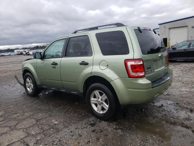 2008 Ford Escape XLT