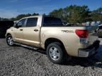 2010 Toyota Tundra Crewmax SR5