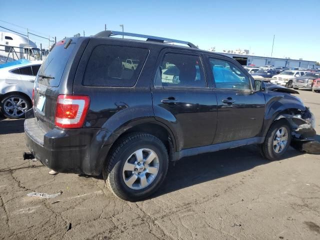 2011 Ford Escape Limited