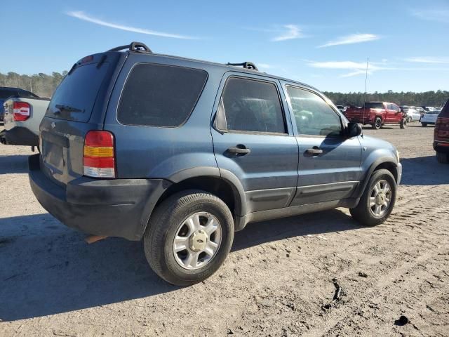 2001 Ford Escape XLT