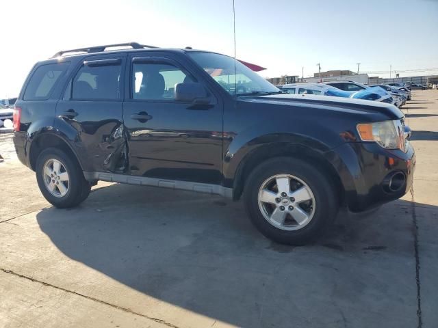 2009 Ford Escape XLT