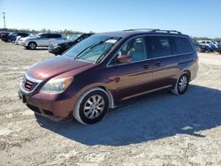 Salvage cars for sale at Arcadia, FL auction: 2009 Honda Odyssey EXL