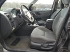 2006 Ford Escape XLT