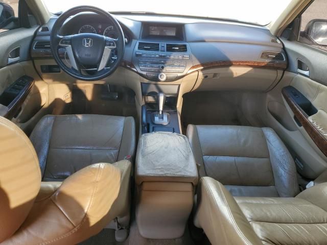 2009 Honda Accord EXL