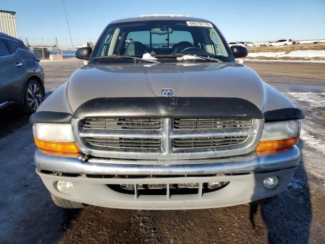 2003 Dodge Dakota Quad SLT