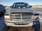 2003 Dodge Dakota Quad SLT