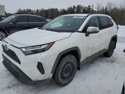 Toyota Vehiculos salvage en venta: 2024 Toyota Rav4 XLE