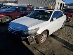 Honda Accord salvage cars for sale: 2012 Honda Accord EXL