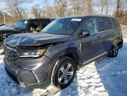 2025 Honda Pilot EXL en venta en Marlboro, NY