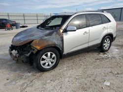 Salvage cars for sale at auction: 2011 KIA Sorento Base