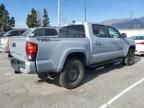 2019 Toyota Tacoma Double Cab