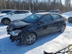 Salvage cars for sale at Cookstown, ON auction: 2015 Toyota Corolla L