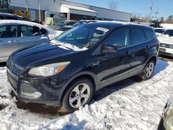 Ford Escape Vehiculos salvage en venta: 2015 Ford Escape SE