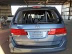 2008 Honda Odyssey EXL