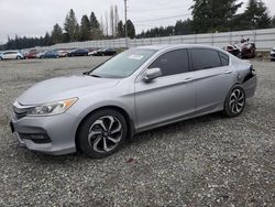 2016 Honda Accord EXL en venta en Graham, WA