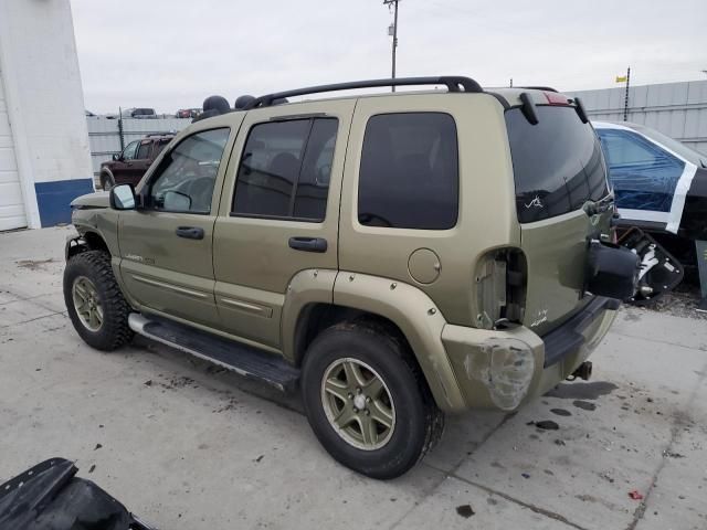 2002 Jeep Liberty Renegade