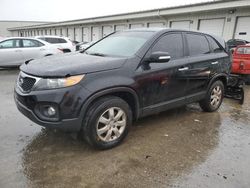 Salvage cars for sale at Louisville, KY auction: 2013 KIA Sorento LX