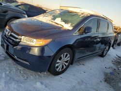 Honda salvage cars for sale: 2016 Honda Odyssey SE