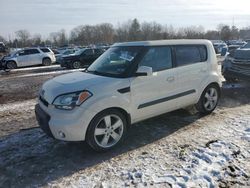 Salvage cars for sale from Copart Chalfont, PA: 2010 KIA Soul +