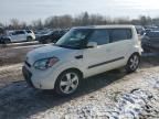 2010 KIA Soul +