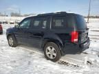 2011 Honda Pilot EXL