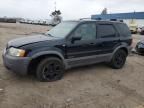 2002 Ford Escape XLT