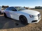 2016 Audi S5 Premium Plus