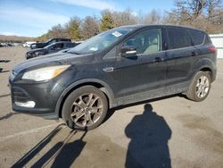 Salvage cars for sale at Brookhaven, NY auction: 2013 Ford Escape SEL