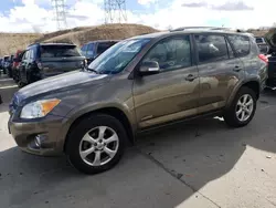 Toyota salvage cars for sale: 2010 Toyota Rav4 Limited