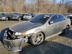 Salvage cars for sale from Copart Baltimore, MD: 2008 Acura TL