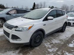 2014 Ford Escape SE en venta en Bowmanville, ON